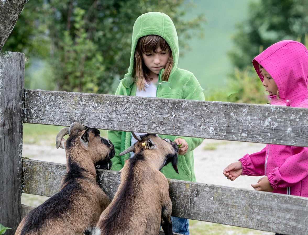 Christernhof Villa Maria Alm am Steinernen Meer Luaran gambar