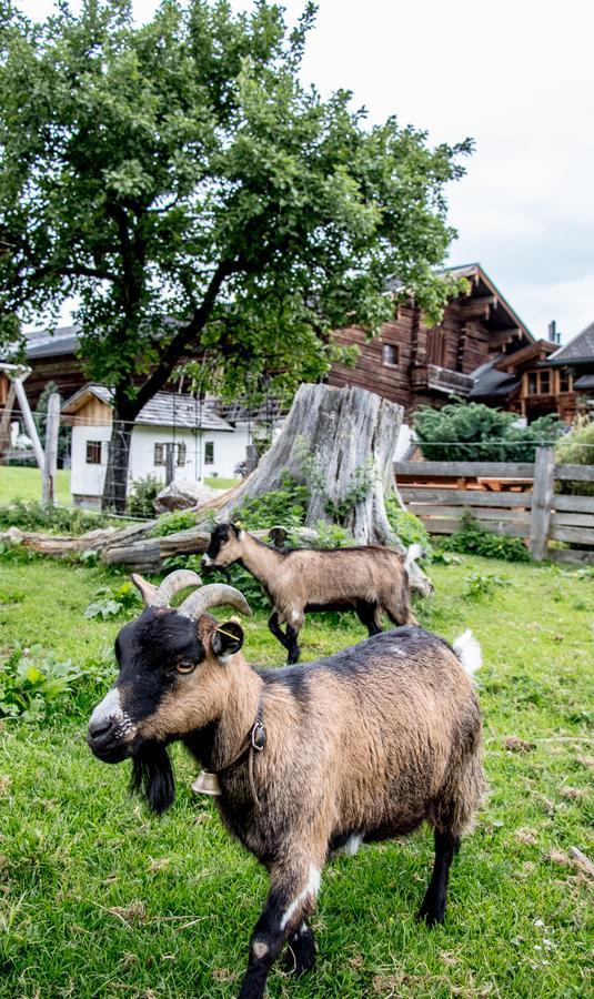 Christernhof Villa Maria Alm am Steinernen Meer Luaran gambar