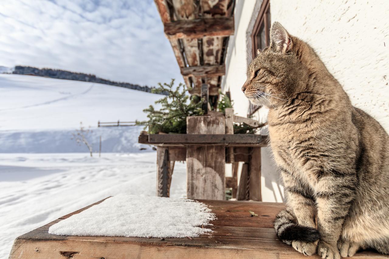 Christernhof Villa Maria Alm am Steinernen Meer Luaran gambar