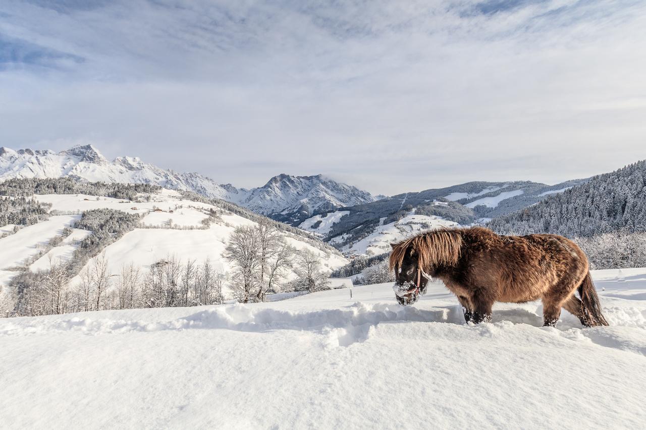 Christernhof Villa Maria Alm am Steinernen Meer Luaran gambar